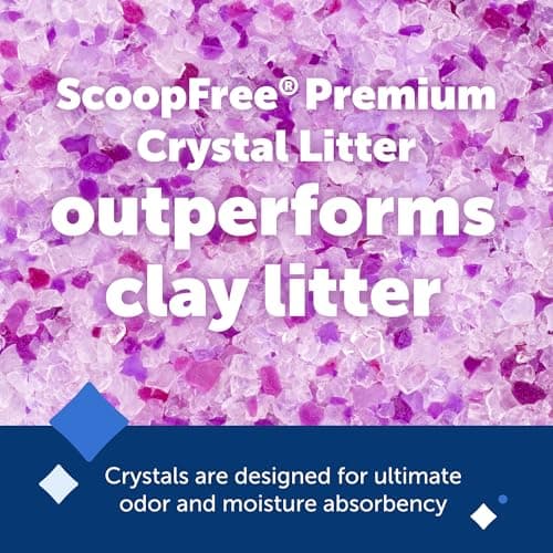 PetSafe - ScoopFree Premium Litière pour Chat Non Agglomérante en Cristal - Contrôle des Odeurs, sans Poussière - Lavande, Paquet De 2 - Image 6