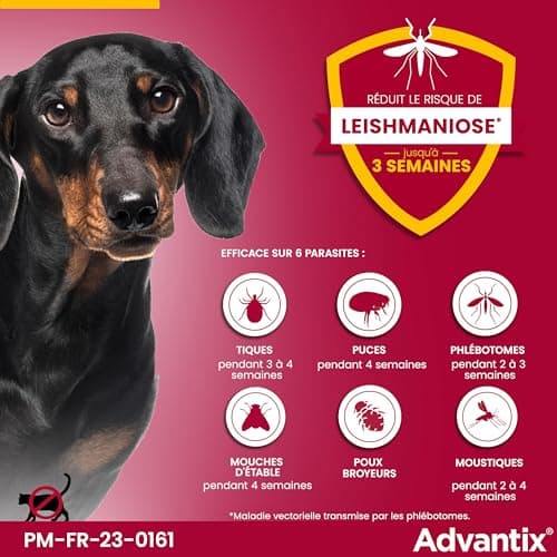 Advantix Very Small Dog Between 1.5 and 4 kg - Dog Pipettes Against 6 Parasites - Treatment and Protection for Your Dog for 4 Weeks - 4 x 1ml - Image 5