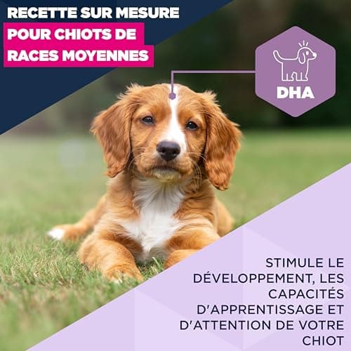 EUKANUBA Life Care Medium Breed Puppy Food 1 to 12 Months, Rich in Fresh Chicken, Optimal Growth - DHA, Calcium, Omega 3&6, FOS Prebiotics, No Dyes, Artificial Flavours or GMOs - 15kg - Image 4