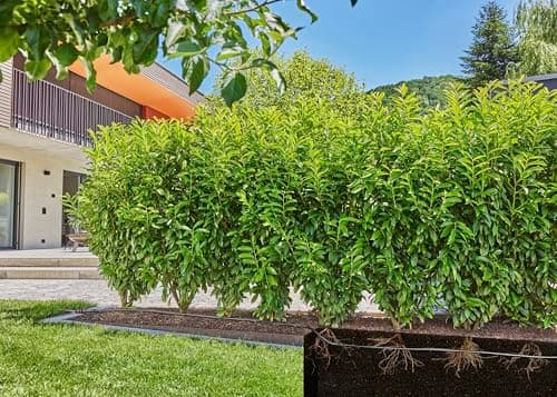 Gardena Micro-Drip System Drip Irrigation Kit for Hedge/Shrubs (25 m): Ready to Use Starter Kit, Water-Saving Irrigation System (13500-20) - Image 7