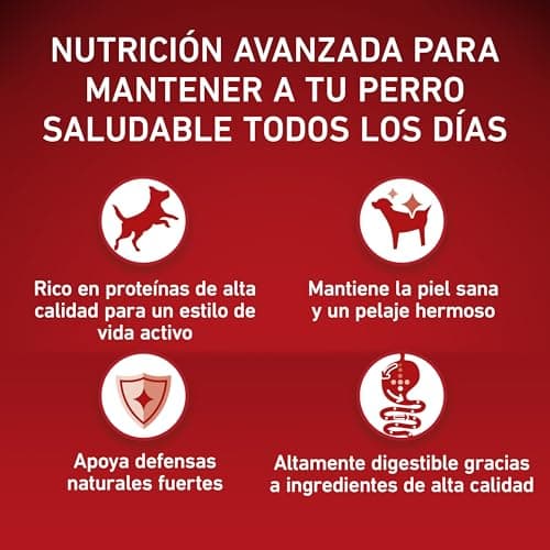 PURINA ONE | Active | Medium and Large Adult Dog > 10kg | High Protein Dry Food | Helps Maintain Strong Muscles and Sufficient Energy | Chicken | Bag | 7kg - Image 7