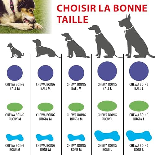 Ferplast Jouet Chien, Balle pour Chien, en Matériau Durable, Non Toxique, Résistante aux Morsures, pour l'Hygiene Dentaire, Rebondissant et Flottant, CHEWA BOING Balle, Jouets Gros Chien, Jaune - Image 6