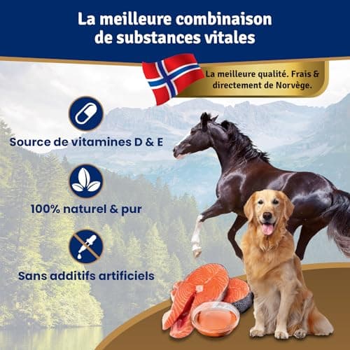 Veddelholzer Salmon Oil for Dogs 1 Litre in Tin Can Recyclable Ideal Coat Care Good for Bones & Immune System with Omega3 Fatty Acids & Vitamin E - Image 4