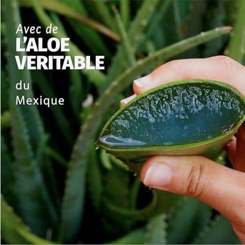 HERBAL ESSENCES - Sans Sulfate - Masque Hydratant 500ml Aloe Vera - Apaise, Hydrate, Nettoie et Nourrit Les Cheveux Très Secs - Parfum Jasmin, Sans Silicone ni Sulfate - Végan - Image 4