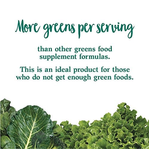 Perfect Food, Super Green Formula, 21,16 oz (600 g) - Garden of Life - Image 7