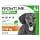 FRONTLINE Combo Dog - Anti-Flea, Tick, Lice Crusher - Protects the Home - Removes Fleas for 8 Weeks/Ticks for 4 Weeks - For Small Dogs 2 to 10 kg - 6 Spot-On Pipettes - Image 2