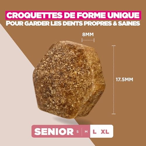 Eukanuba Croquettes Premium sans Céréales Chien Sénior de Grande Race– Riche en Poisson de l’Océan - Hypoallergénique – Glucosamine Chondroïtine-12 kg - Image 7