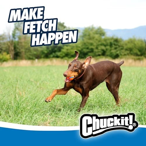 Chuckit Golf Ultra Ball Toy for Adult Dogs, Size L 1pc - Image 8
