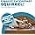 Outward Hound Dog Brain Teaser - Squirrel Hide and Seek, Small - Image 4