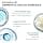 Uriage Eau Thermale Rich Hydrating Face Cream - Hyaluronic Acid - Intense Hydration 24H - Boosts Radiance - Perfect as a Makeup Base - Fresh and Delicate Fragrance - Non-Comedogenic - 40 ml - Image 5