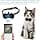 Cat Tracker, GPS Cat Tracker Collar – Direct Location for Territory & Activity – Compatible with Apple Find without Subscription – Seresto Cat and GPS Cat Collar + 1 Bell Collar - Image 4