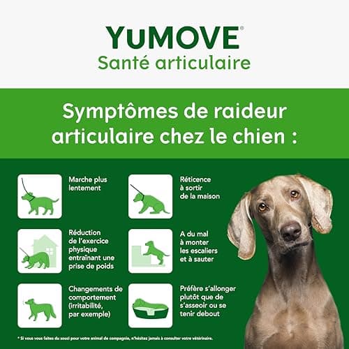 YuMOVE Osteoarthritis Dog Joint Supplement - 60 Tablets Containing ActivEase, Green Mussels, Glucosamine and Chondroitin - Triple Action for Joint Support - Image 5