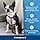 PetSafe 3-in-1 Dog Harness - Car Seat Belt - No-Pull - Comfortable, Reflective Stitching - Black, L - Image 5