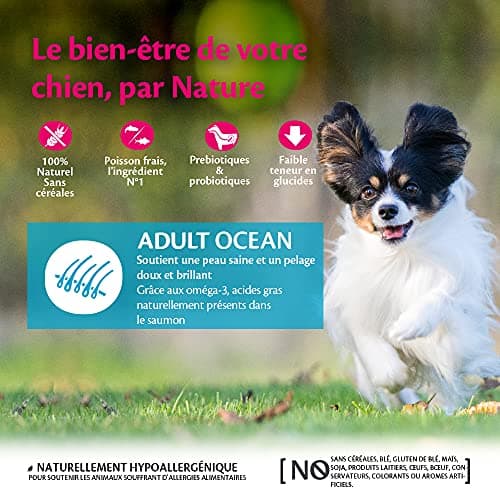 Wellness CORE Ocean 5 kg, Salmon/Tuna – Grain Free, Natural, Hypoallergenic, High Protein, High Fish Content, Healthy Skin & Shiny Coat - Image 4
