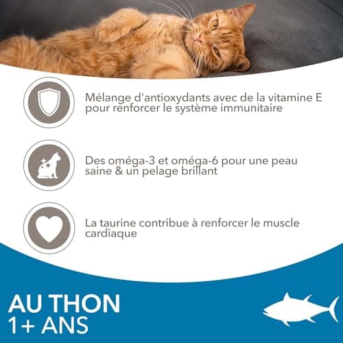 IAMS Advanced Nutrition - Croquettes Premium Chats Adultes - 100% Complètes et Equilibrées - Au thon - Sans OGM Colorants Arômes Artificiels - Sac refermable 3 kg - Image 7