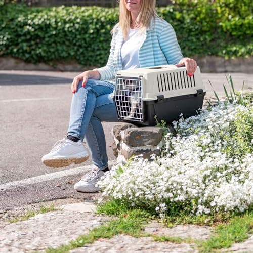 Ferplast Transport Basket for Cats and Dogs up to 5 kg, Laminated Iron Door, 32.5 x 48 x H 29 cm, Black - Image 5
