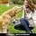 flexi Multi Box for Dogs - Image 6