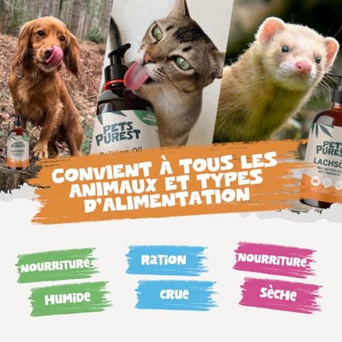 Pets Purest Salmon Oil for Dogs and Cats 1000ml - Pure Norwegian Salmon Oil with Omega 3-6-9 and Vitamin E - Supports Skin, Coat, Joints and Immune System - Image 7