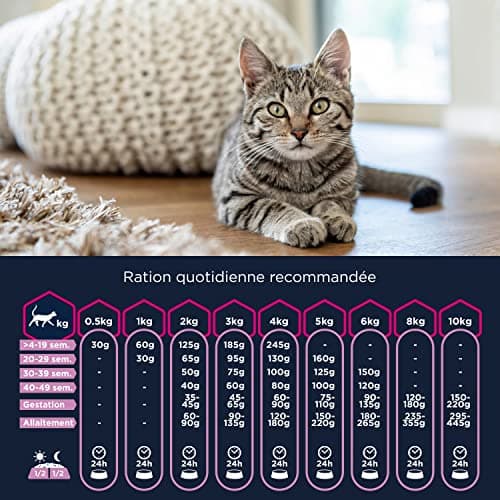 EUKANUBA - Premium Kitten Food – Rich in Fresh Chicken and Rice – Promotes Growth - 100% Complete and Balanced Food – DHA – Wheat Free – Non-GMO - Resealable Bag - 10kg - Image 7