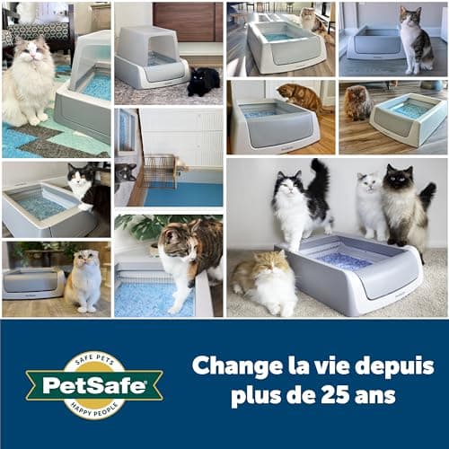PetSafe - ScoopFree Premium Litière pour Chat Non Agglomérante en Cristal - Contrôle des Odeurs, sans Poussière - Bleu Premium, Paquet De 2 - Image 10