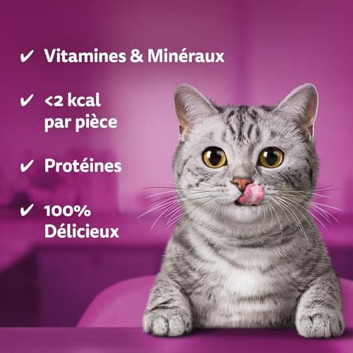 Whiskas Temptations Chicken & Cheese Cat Treats 60 g Pack of 6 - Image 4