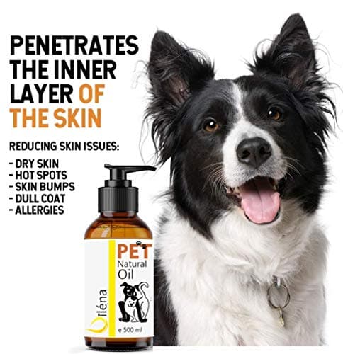 Premium Salmon Oil for Dogs & Cats | Omega 3, 6, 9, Vitamin E | Boost Energy, Vitality | Strengthens Immunity | Healthy Skin, Coat | 2000 ML - Image 5