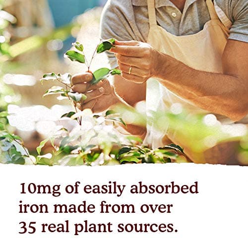 Mykind Organics, Flore Iron Organic Herbs, Cranberry-Lime - Garden of Life - Image 6
