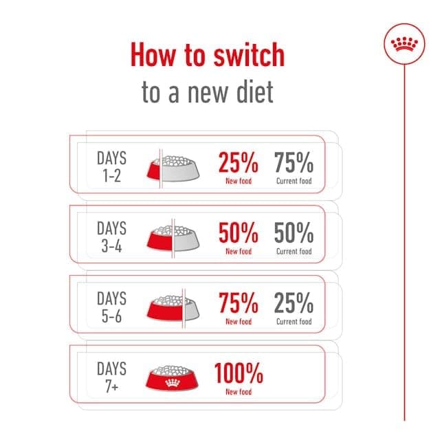 Royal Canin Mini Adult 8+ | 2 kg | Complete Food for Small Dogs (up to 10 kg) in the second half of their life | Ages 8+ | Can help support vitality - Image 6