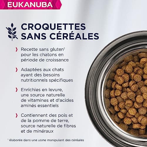 EUKANUBA Grain Free Kitten Dry Food - Rich in Salmon - DHA, Non-GMO, Artificial Colors, Flavours - 2 kg - Image 3