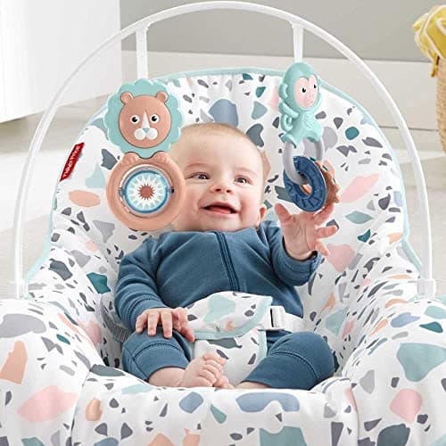 Fisher-Price Infant-To-Toddler Rocker - Image 6