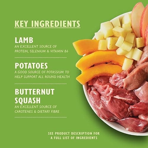 Lily's Kitchen Canned Natural Wet Food for Adult Dogs, Classic Recipes, Multipack (12 x 400 g Canned) - Image 4