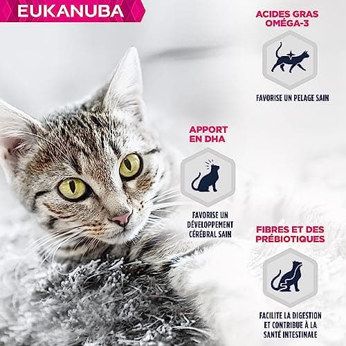 EUKANUBA Grain Free Kitten Dry Food - Rich in Salmon - DHA, Non-GMO, Artificial Colors, Flavours - 2 kg - Image 5
