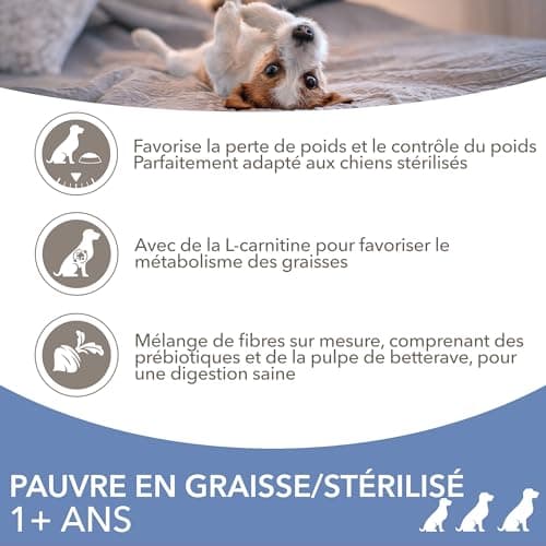 Iams Vitality Lightweight Dry Food for Adult Dogs Small and Medium Breed - Promotes Health and Vitality - Very Low In Fat - Fresh Chicken - Free: GMO, Colour, Artificial Flavour, Wheat - 12 kg - Image 5