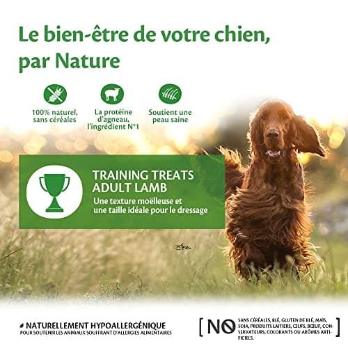 Wellness CORE Training Treats 170 g, Lamb/Apples - Grain Free, Natural, Hypoallergenic, High Protein, High Meat, Perfect for Learning - Image 5