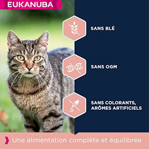 EUKANUBA Premium Dry Food for Senior Cat - 100% Complete and Balanced Food - Rich in Rice - Fresh Chicken - L-Carnitine - Non-GMO, Wheat Free - Resealable Bag - 10kg - Image 3