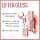 Maybelline New York - Moisturizing Lip Gloss & Instant Shine - Enriched with Hyaluronic Acid - Lifter Gloss - Shade : 004 Silk - Image 5