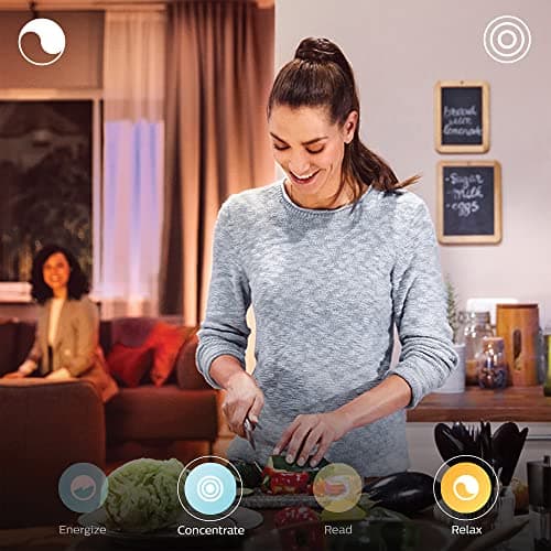 Philips Hue White & Color Ambiance ENSIS Pendant Light 2x39W Black - Pendant light with Bluetooth - Philips light compatible with Alexa, Google Assistant and Apple Homekit - Image 3