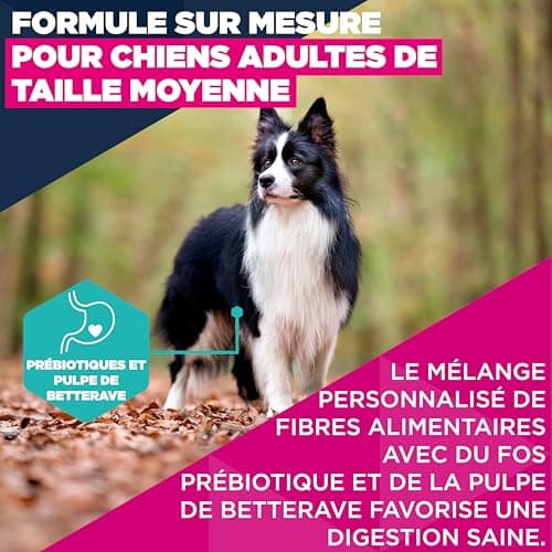 EUKANUBA Life Care Croquettes Chien Adulte Moyenne Race 1 à 7 Ans, Riche en Poulet Frais, Maintient d’Un Poids Optimal, L-Carnitine, Oméga 3&6, FOS, sans colorants, arômes artificiels ni OGM – 15 kg - Image 6