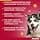 Bayer Advantix x Dogs 4-10 kg – 4 Pipettes - Image 6