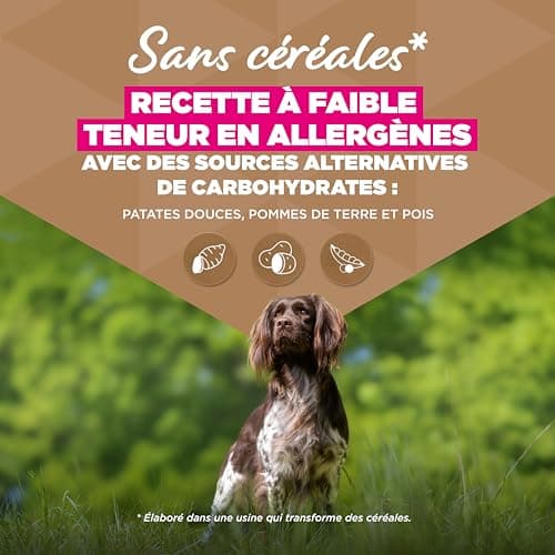 Eukanuba Croquettes Premium sans Céréales pour Chien Adulte de Grande Race – Riche en Poulet - Hypoallergénique – Glucosamine Calcium - Sac de 12 kg - Image 6
