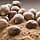 Wella - White Hair Colour - Herbal Powder - Wella EOS Nutmeg Colour - 120g - Image 4