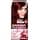 Garnier Color Sensation Hair Dye 4.60 Intensive Dark Red 1 Count - Image 2
