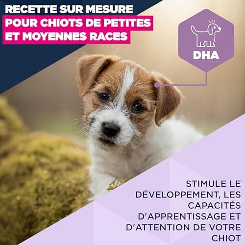 EUKANUBA Life Care Small Medium Puppy Food 1-12 Months, Rich in Lamb & Rice, Optimal Growth - DHA, Calcium, Omega 3&6, FOS, MOS, No Colorants, Artificial Flavours or GMOs - 12 kg - Image 4