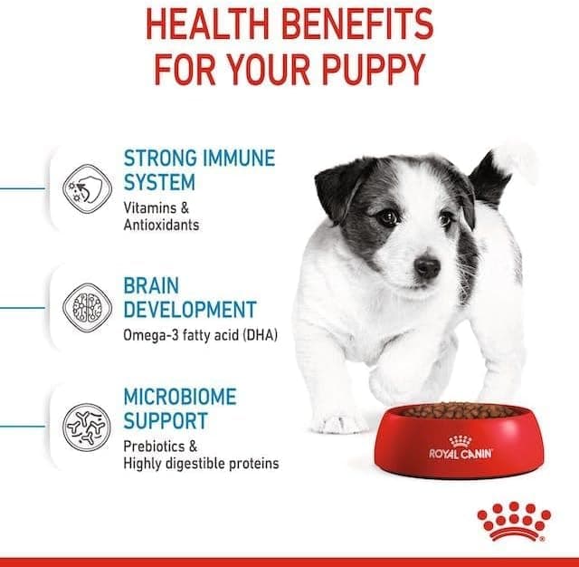Royal Canin - Royal Canin Mini Junior Capacity: 800g - Image 7