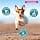Eukanuba Adult Dog Dry Food For Small Breed Chicken 3 kg - Image 6