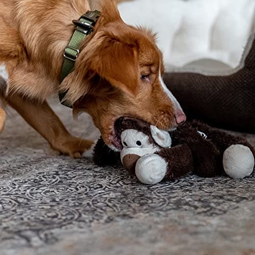Nobby Safari Monkey Plush Toy for Dogs Brown 41 cm Large Breeds - Image 4