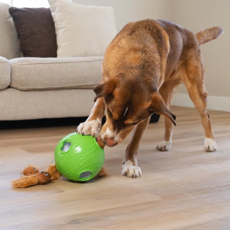 Outward Hound Nina Ottosson by Dog Snuffle N' Treat Ball GRN - Image 6