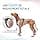 HALTI Anatomy Dog Harness with Handle - Gives Your Dog Freedom of Movement for a Comfortable Walk. 3 Attachment Points, Adjustable and Reflective (Size M, Teal) - Image 4