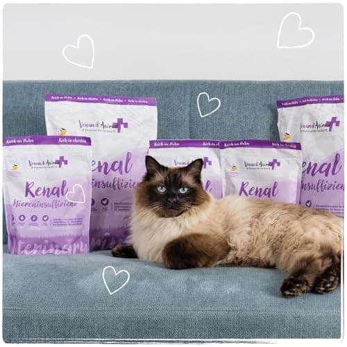 Venandi Animal Vet – Croquettes Premium pour Chats - Aliment diététique – Insuffisance rénale/Renal – Poulet, 1er Pack (1 x 1,5kg), sans céréales - Image 7