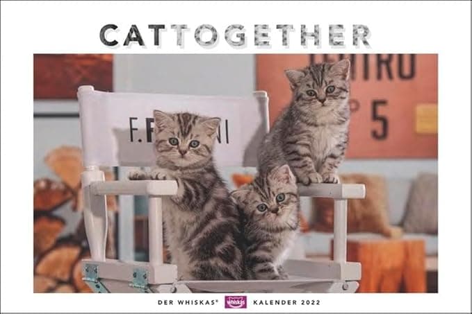 Whiskas Cat Calendar 2022